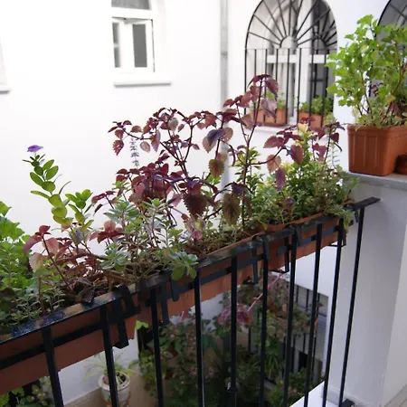 호스탈 알카자르 I 코르도바